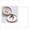 Astronomical compendium by unknown