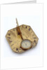 Horizontal dial by Michael Butterfield