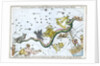 The constellation Hydra by Unknown