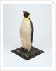 Stuffed emperor penguin by Dr. Edward Wilson