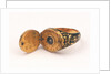 Horizontal dial, mounted on gold finger ring by unknown