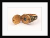 Horizontal dial, mounted on gold finger ring by unknown
