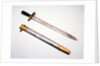 Sword of Sir William Peel by Henry Wilkinson