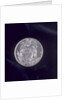 Medal of the Battle of Louisbourg - back showing globe. by T. Pingo