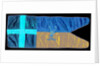 Captain Robert Falcon Scott's sledge flag by unknown