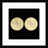 Astrolabe: plates 33 by Michael D. Piquer