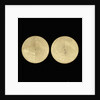 Astrolabe: plates 39 by Michael D. Piquer
