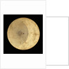 Astrolabe: plate for 50 by Erasmus Habermel