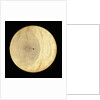 Astrolabe: plate for 48 by Erasmus Habermel