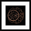 Astrolabe: rete (reverse) by Erasmus Habermel