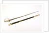 Stirrup hilted 'fighting' sword by S. Brunn