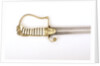 Stirrup hilted 'fighting' sword by S. Brunn