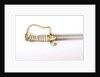 Stirrup hilted 'fighting' sword by S. Brunn
