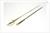 Small-sword said to have belonged to Sir William Hamilton (1730-1800). by Cullum