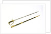 Stirrup hilted dress sword by unknown
