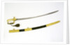 Presentation sword which belonged to Captain James Analby Legard by Salter