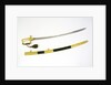 Presentation sword which belonged to Captain James Analby Legard by Salter