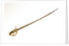 Royal Marines sword by Unknown