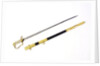 Stirrup hilted sword by Unknown