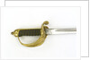 Sword, solid half-basket hilt by Friedeberg