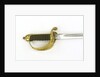 Sword, solid half-basket hilt by Friedeberg
