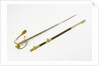 United States Naval sword by unknown