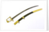 Sword, presentation by Tatham