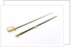 Stirrup hilted dress sword by Salter