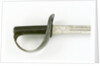 Hilt of cutlass by unknown