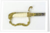 Stirrup hilted dress sword by unknown