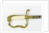 Stirrup hilted dress sword by unknown