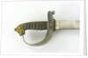 Steel hilted cutlass by Silver & Co.