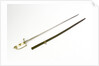 Five-ball hilted sword, which belonged to Commander Alexander Keeler (died 1831) by unknown