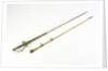 Small-sword said to have belonged to Sir William Hamilton (1730-1800) by Thomas Jeffrey