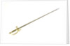 Small-sword which belonged to Admiral of the Fleet Sir George Cockburn by Richard Clarke & Son