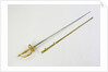 Small-sword which belonged to Admiral of the Fleet Sir George Cockburn by Richard Clarke & Son