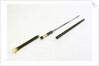 Swordstick, alleged to have belonged to Admiral Sir Thomas Pasley (1734-1808) by Issac Rennoldson