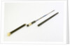 Swordstick, alleged to have belonged to Admiral Sir Thomas Pasley (1734-1808) by Issac Rennoldson