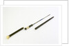 Swordstick, alleged to have belonged to Admiral Sir Thomas Pasley (1734-1808) by Issac Rennoldson