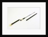 Swordstick, alleged to have belonged to Admiral Sir Thomas Pasley (1734-1808) by Issac Rennoldson