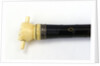 Swordstick, alleged to have belonged to Admiral Sir Thomas Pasley (1734-1808) by Issac Rennoldson