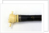 Swordstick, alleged to have belonged to Admiral Sir Thomas Pasley (1734-1808) by Issac Rennoldson