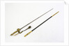 Court sword, which belonged to Reverend Henry Bellairs (1790-1872) by Forest
