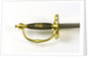 Small-sword of Civil Branch of Royal Navy (Secretary) by Dudley