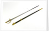 Oval side ring hilted sword by unknown