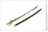 S-Bar fighting sword by Francis Crump