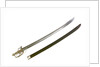 S-Bar fighting sword by Francis Crump