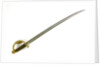 Hilt of cutlass by Ames Manufacturing Company