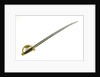 Hilt of cutlass by Ames Manufacturing Company