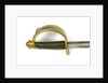 Hilt of cutlass by Ames Manufacturing Company